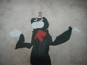 catinthehat.jpg